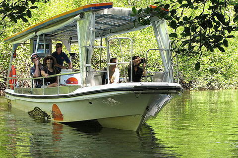 8-Day Cairns Tour: Great Barrier Reef, Kuranda, Daintree Rainforest - Great Ocean Road Restaurant 5
