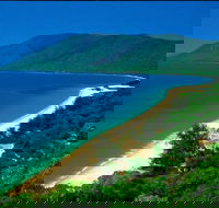 Cairns Reef and Rainforest Combo Daintree Rainforest and the Great Barrier Reef - Great Ocean Road Restaurant