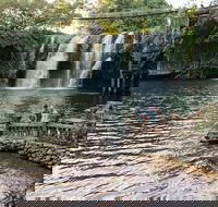 Paronella Park and Millaa Millaa Falls Full-day Tour from Cairns - Great Ocean Road Restaurant
