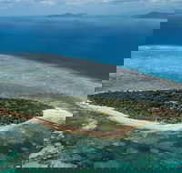 4-Day Cairns with Great Barrier Reef and Daintree Rainforest - Great Ocean Road Restaurant