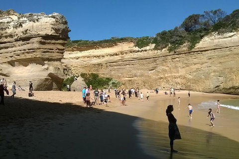 Great Ocean Road Full Day Private Experience - Great Ocean Road Restaurant 3