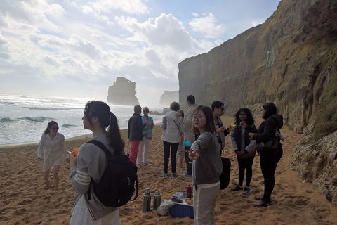 Great Ocean Road Full Day Private Experience - Great Ocean Road Restaurant 4