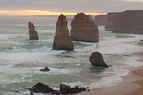 Private Express Experience - 12 Apostles - Great Ocean Road Restaurant 1