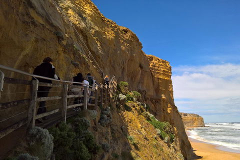 Private Express Experience - 12 Apostles - Great Ocean Road Restaurant 3