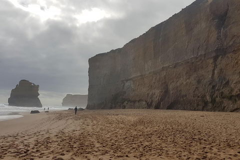 Private Express Experience - 12 Apostles - Great Ocean Road Restaurant 4