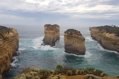 Private Express Experience - 12 Apostles - Great Ocean Road Restaurant 5