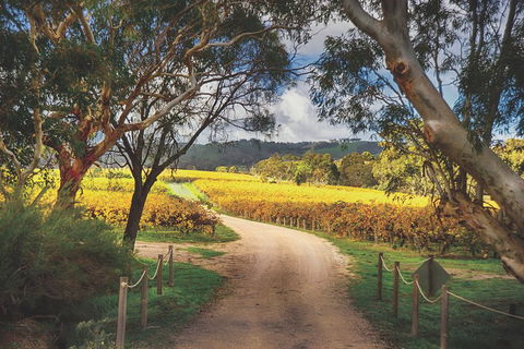 McLaren Vale Winery Small Group Tour With Wine Tasting And Lunch - Great Ocean Road Restaurant 1