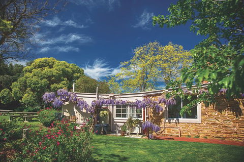 McLaren Vale Winery Small Group Tour With Wine Tasting And Lunch - Great Ocean Road Restaurant 2