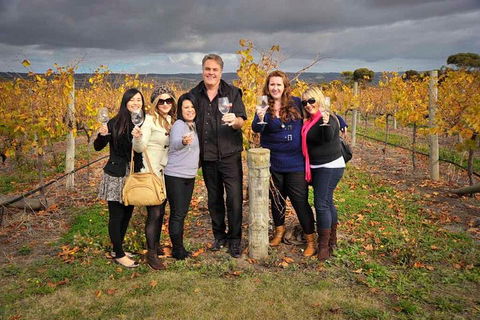 McLaren Vale Winery Small Group Tour With Wine Tasting And Lunch - Great Ocean Road Restaurant 3