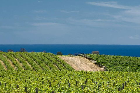 McLaren Vale Winery Small Group Tour With Wine Tasting And Lunch - Great Ocean Road Restaurant 4