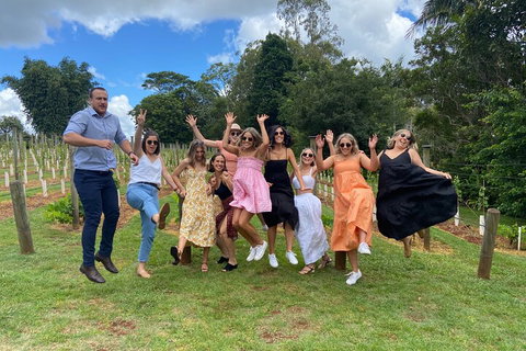 Mt Tamborine ScenicRim Deluxe Wine Tasting And Sightseeeing Tour - Great Ocean Road Restaurant 4