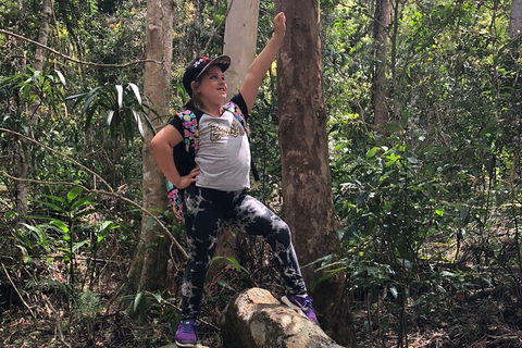 Natural Bridge, Skywalk And Mt Tamborine Adventure! - Great Ocean Road Restaurant 3