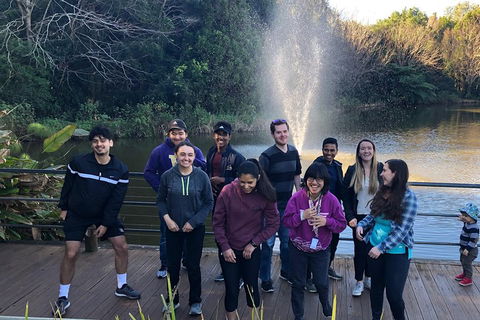 Natural Bridge, Skywalk And Mt Tamborine Adventure! - Great Ocean Road Restaurant 4