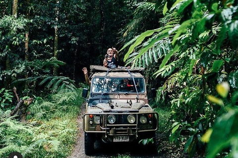 Full Day Tour In The Daintree - Great Ocean Road Restaurant 4