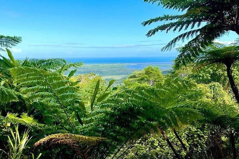 Full Day Tour In The Daintree - Great Ocean Road Restaurant 5