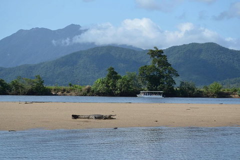 Afternoon Half-Day Daintree Rainforest And River Tour - Great Ocean Road Restaurant 2