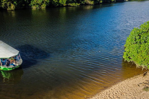 Afternoon Half-Day Daintree Rainforest And River Tour - Great Ocean Road Restaurant 3