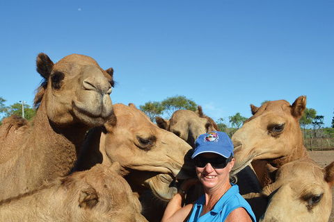 Broome Pre-sunset Camel Tour 30 Minutes - Great Ocean Road Restaurant 0