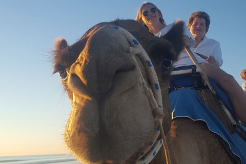 Broome Pre-sunset Camel Tour 30 Minutes - Great Ocean Road Restaurant 1
