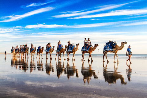 Broome Pre-sunset Camel Tour 30 Minutes - Great Ocean Road Restaurant 2