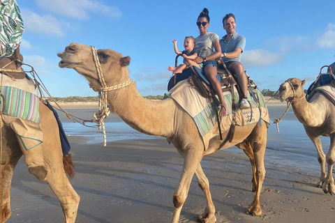 Broome Pre-sunset Camel Tour 30 Minutes - Great Ocean Road Restaurant 3