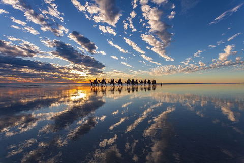Broome Pre-sunset Camel Tour 30 Minutes - Great Ocean Road Restaurant 4
