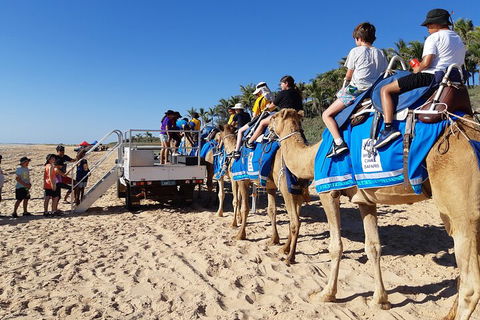 Broome Pre-sunset Camel Tour 30 Minutes - Great Ocean Road Restaurant 5
