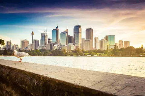 Private Sydney City And Bondi Beach Half Day Tour - Great Ocean Road Restaurant 2
