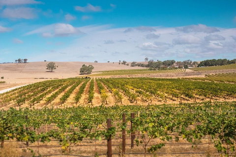 Barossa Valley Private Tour (from 2 To 11 People) - Great Ocean Road Restaurant 2