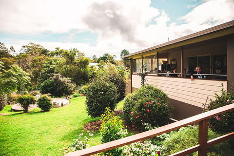 Full-day Springbrook National Park Tour From The Gold Coast - Great Ocean Road Restaurant 2