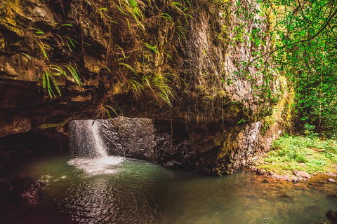 Full-day Springbrook National Park Tour From The Gold Coast - Great Ocean Road Restaurant 4