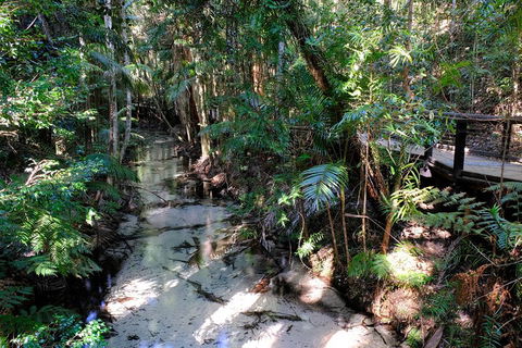Fraser Island 4WD Tour From Rainbow Beach - Great Ocean Road Restaurant 0