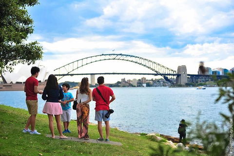 Sydney 6 Hour Private Tour - Great Ocean Road Restaurant 3
