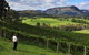 Private Blue Mountains And Winery Day-Trip From Sydney - thumb 2
