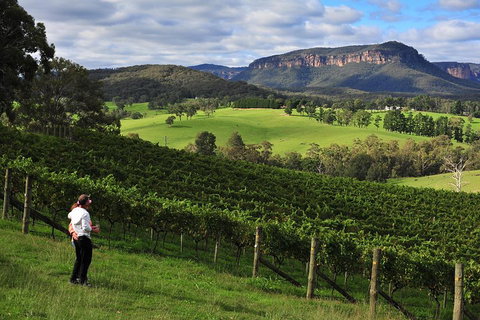 Private Blue Mountains And Winery Day-Trip From Sydney - Great Ocean Road Restaurant 2