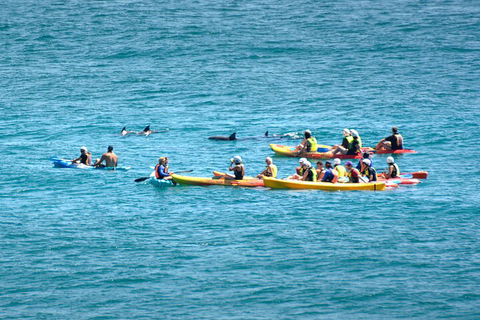 The Byron Bay Sea Kayak Tour - Great Ocean Road Restaurant 1