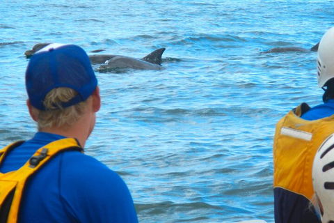 The Byron Bay Sea Kayak Tour - Great Ocean Road Restaurant 4