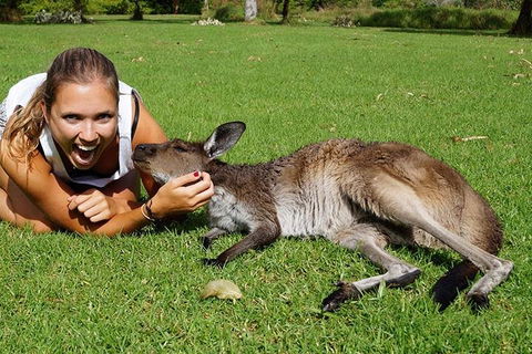 7-Day Tour In Sydney With Airport Pickup - Great Ocean Road Restaurant 4