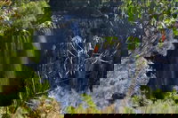 Byron Bay Hinterland Tour Including Rainforest Walk to Minyon Falls