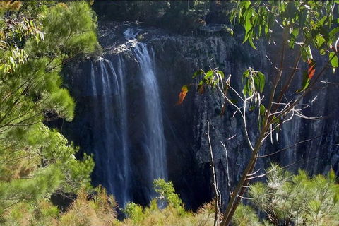 Byron Bay Hinterland Tour Including Rainforest Walk To Minyon Falls - Great Ocean Road Restaurant 0