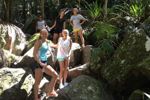 Byron Bay Hinterland Tour Including Rainforest Walk To Minyon Falls - Great Ocean Road Restaurant 3