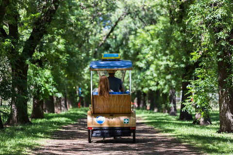 Adelaide 90-Minute Pedicab Tour: Scenic Green & River Experience - Great Ocean Road Restaurant 2