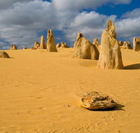 The Pinnacles Sea and Dunescapes Bush Reserve and Sunset Day Tour - Great Ocean Road Restaurant