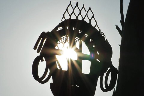 Wave Rock, Wild Flowers And Astro Photography - Great Ocean Road Restaurant 4