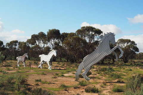 Wave Rock, Wild Flowers And Astro Photography - Great Ocean Road Restaurant 5