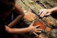 Ngana Julaymba Dungay - Half Day, Port Douglas