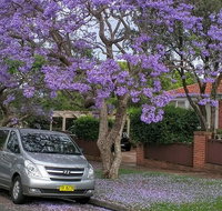Sydney Secrets  Bondi Beach Private 4 Hr Morning with Personalised Sydney Tours - Great Ocean Road Restaurant