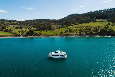 Deep-to-Dish: Tasmanian Seafood Experience - Great Ocean Road Restaurant 0
