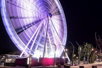 Discover Brisbane