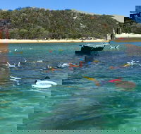 All Inclusive Dolphin and Tangalooma Wrecks Cruise - Great Ocean Road Restaurant